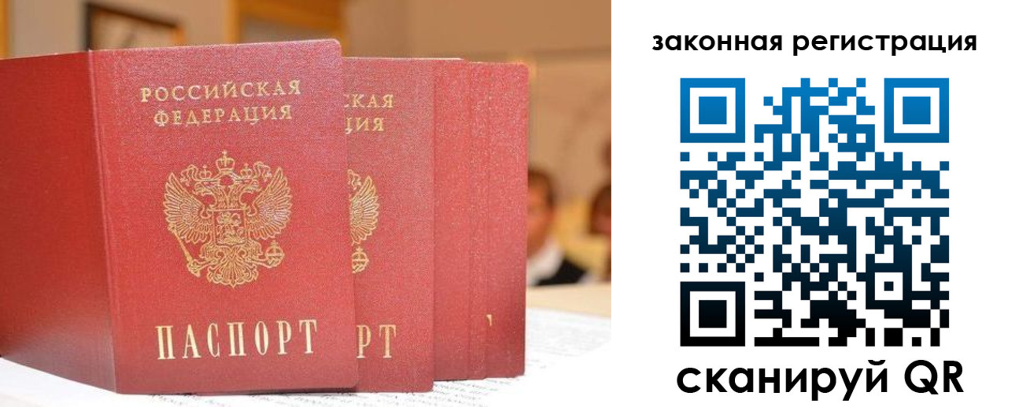 прописка поиск в Сальске